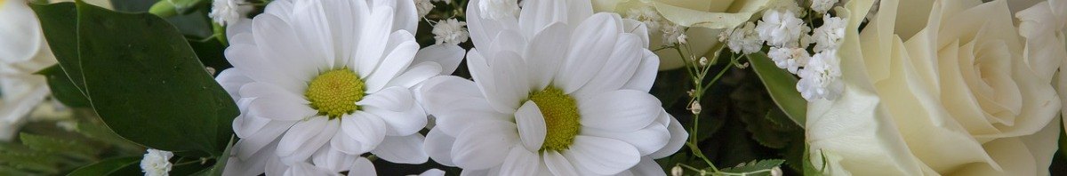 What Are The Steps In Arranging A Funeral